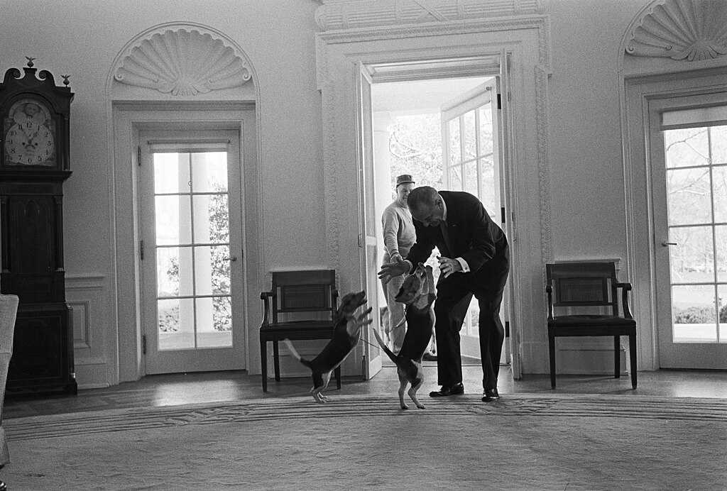 President Lyndon B. Johnson receives a greeting from his beagles, Him and Her.