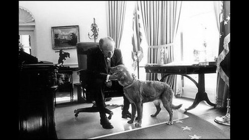 President Ford and his golden retriever Liberty